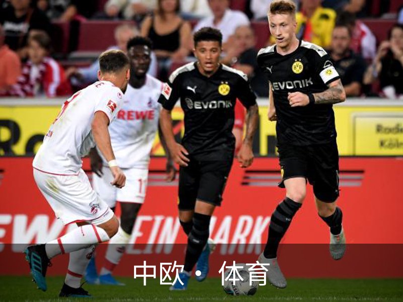 中欧· 体育(中国)官方网站 - ZO SPORTS