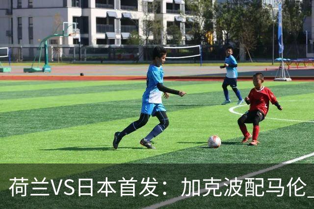 荷兰VS日本首发：加克波配马伦 久保建英搭档堂安律